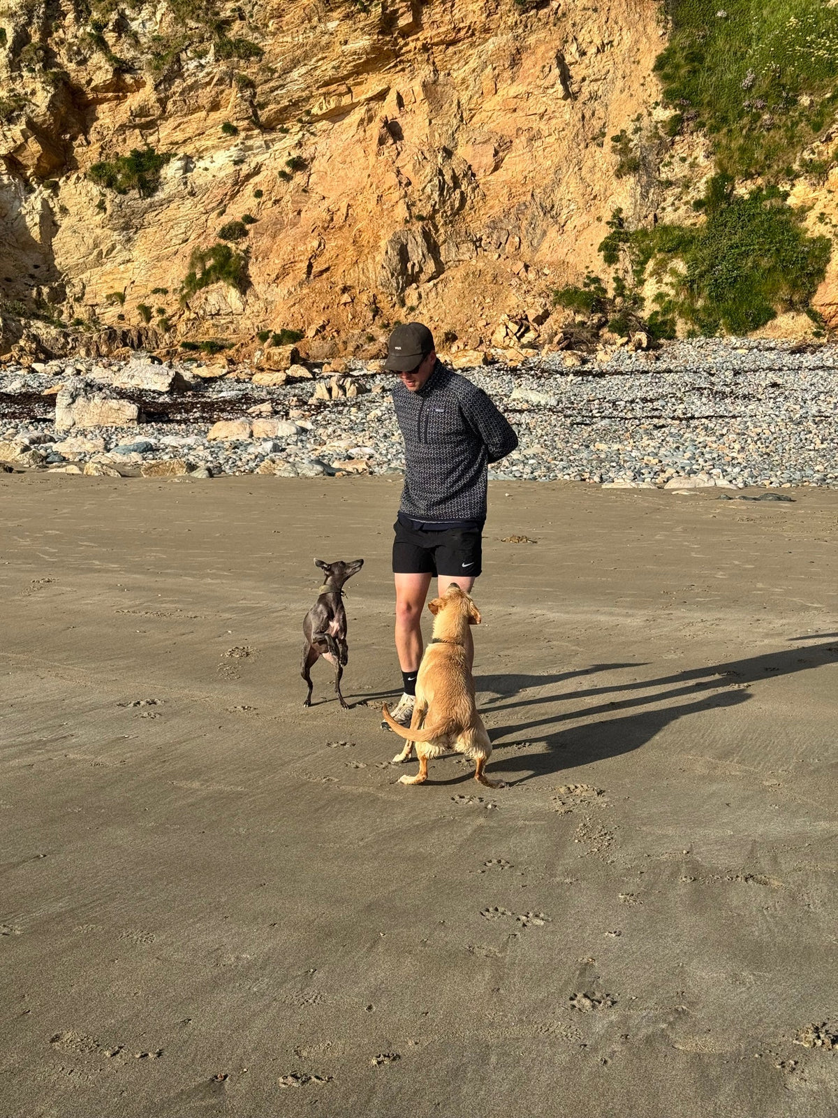 two dogs on the beach, both on a daily supplement