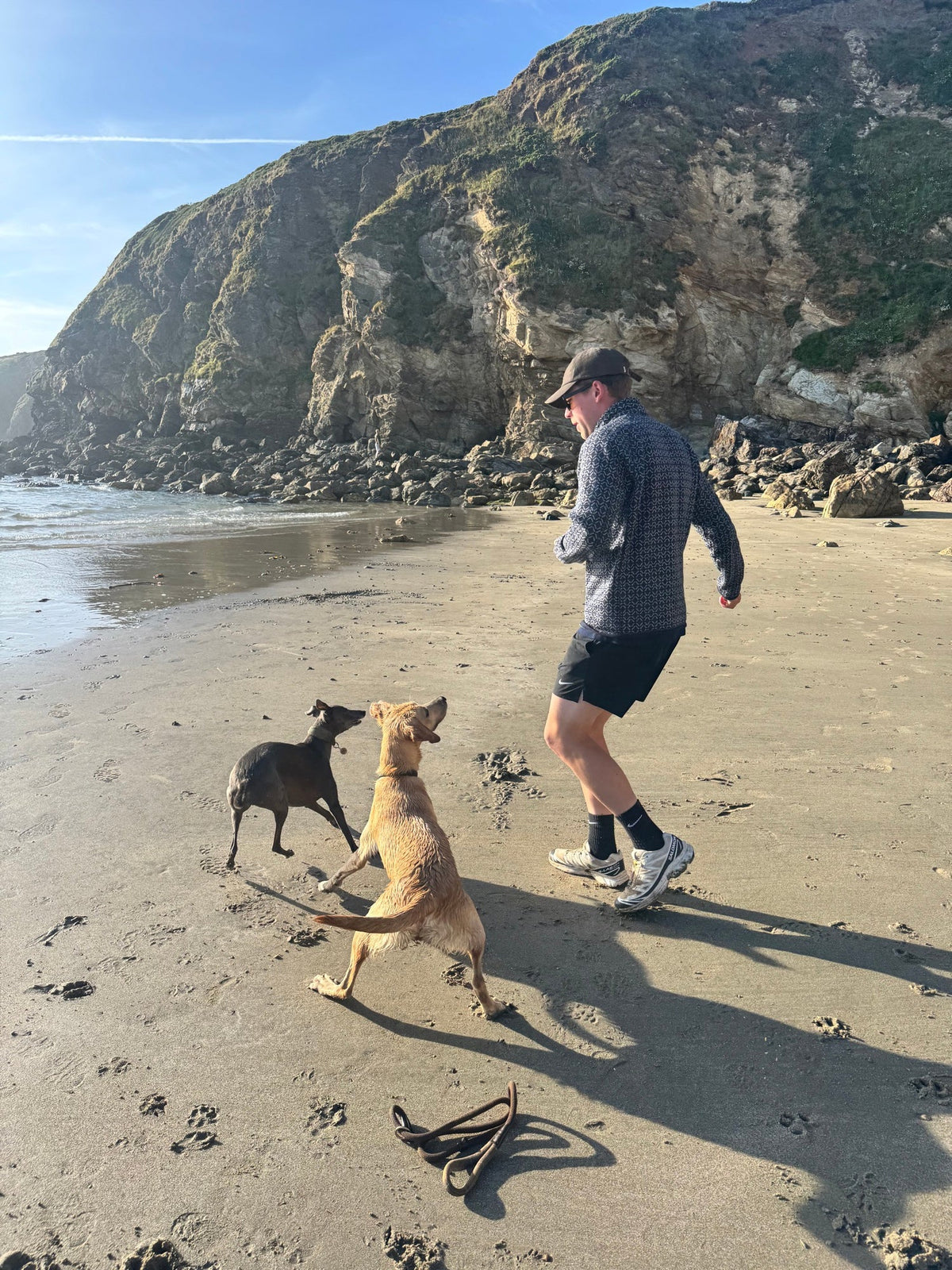 a dog out on a walk, staying mobile