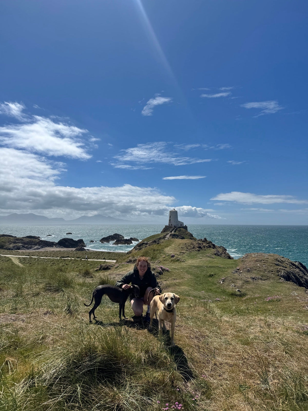an older dog out on a cliff walk